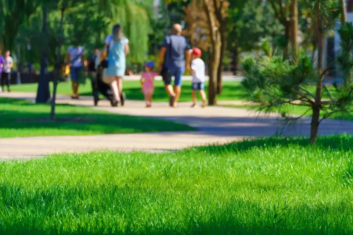 An urban park on a bright sunny day