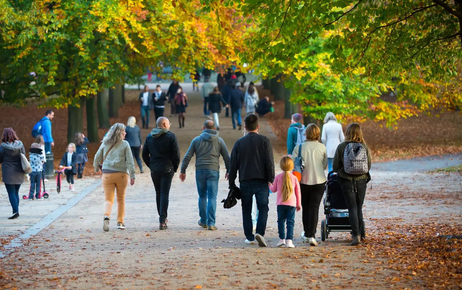 a crowd of visitors walking together in a park