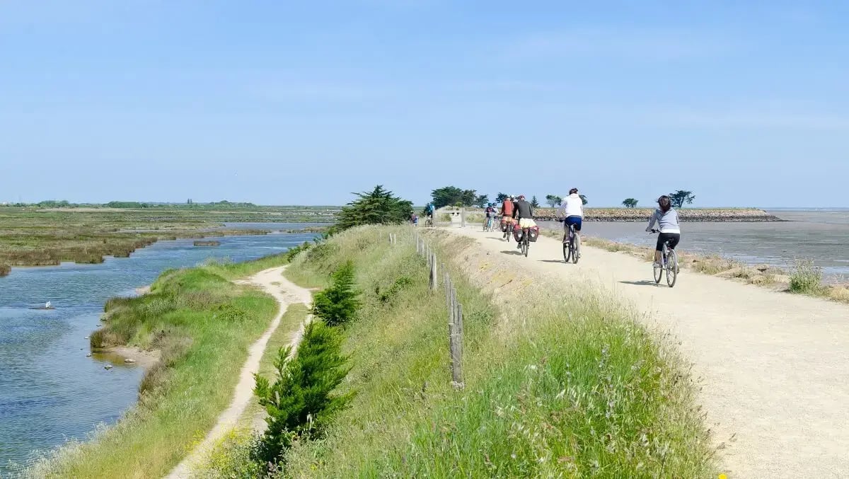 Cycling tourists