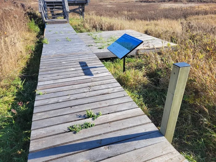 A Wooden Post Evo counter installed on a boardwalk