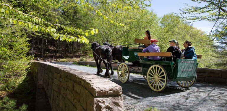 Wheelchair Accessible Carriage going over the Stanley Brook carriage road bridge at Acadia National Park Wheelchair Accessible Carriage going over the Stanley Brook carriage road bridge at Acadia National Park