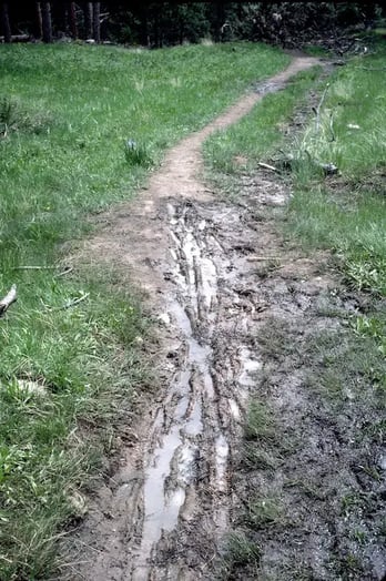 Trail damage from muddy trail visitation