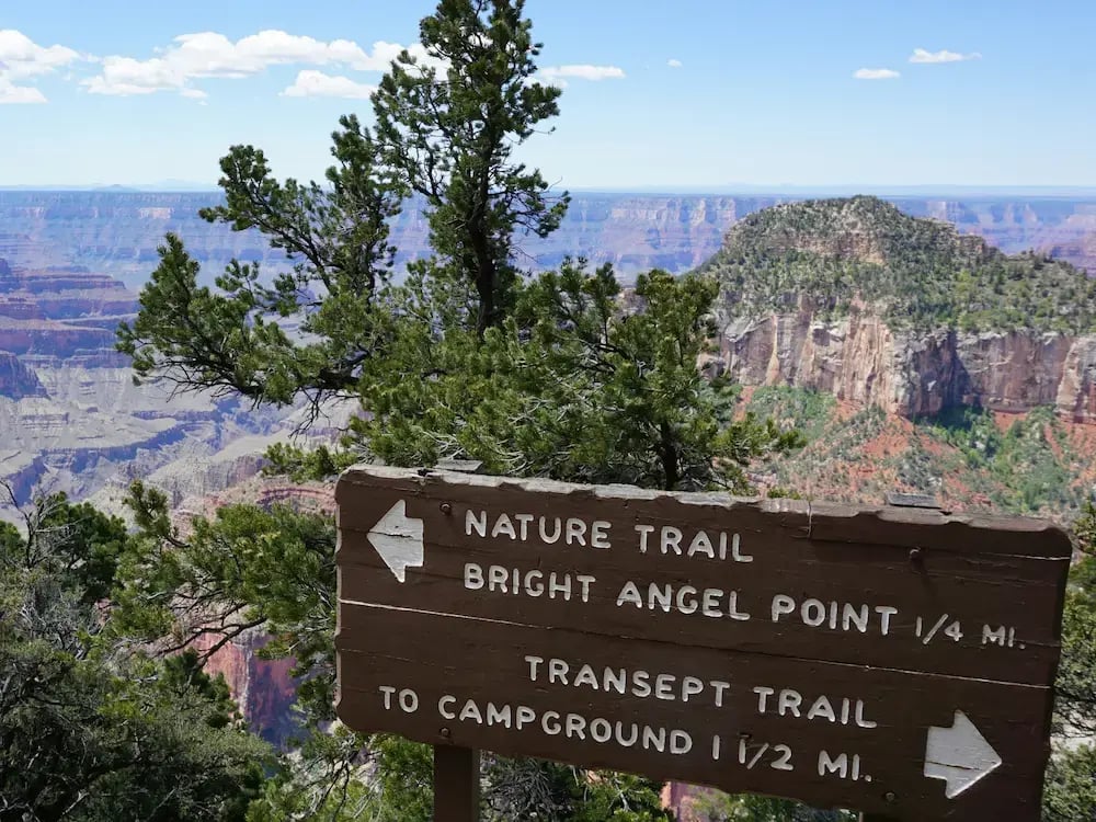 Trail sign with two paths