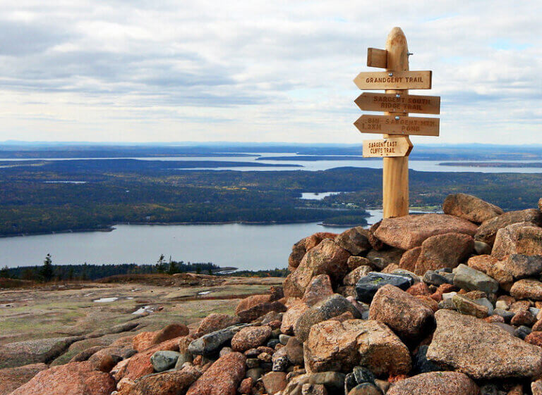Preserving flora and fauna with visitor data