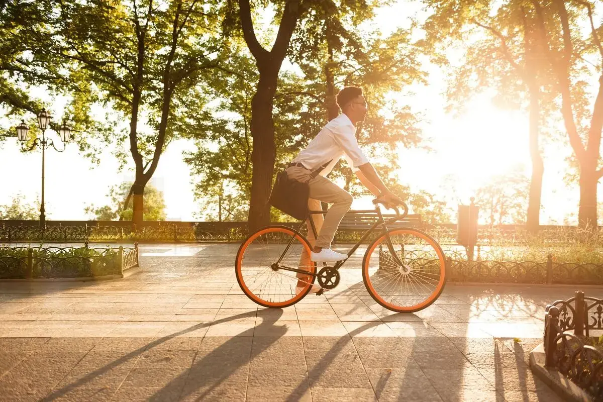 Pedestrian and bicycle traffic analysis: discover Eco-Visio's latest features