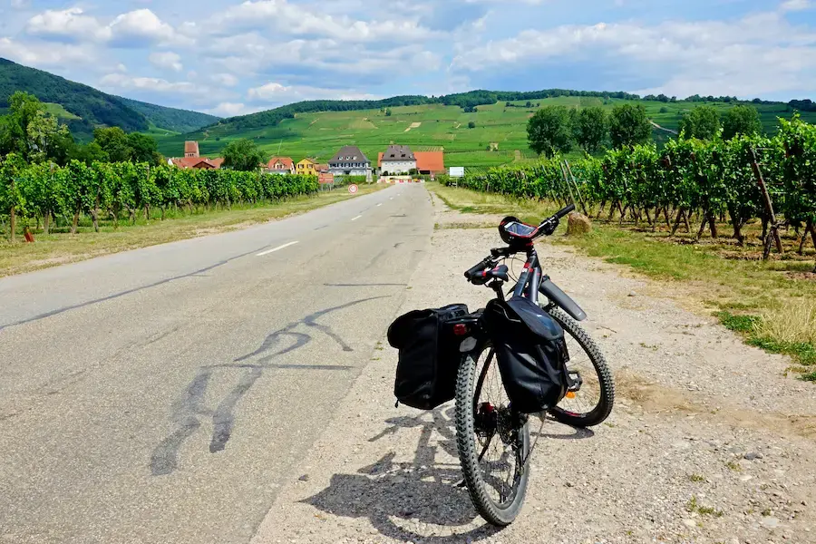 Cycling counts in Europe: numbers from the EuroVelo Usage Barometer show stability for 2024