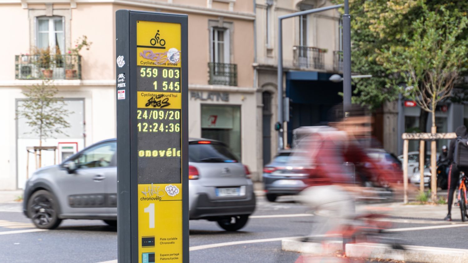 What to do About Counter Vandalism (with Examples)