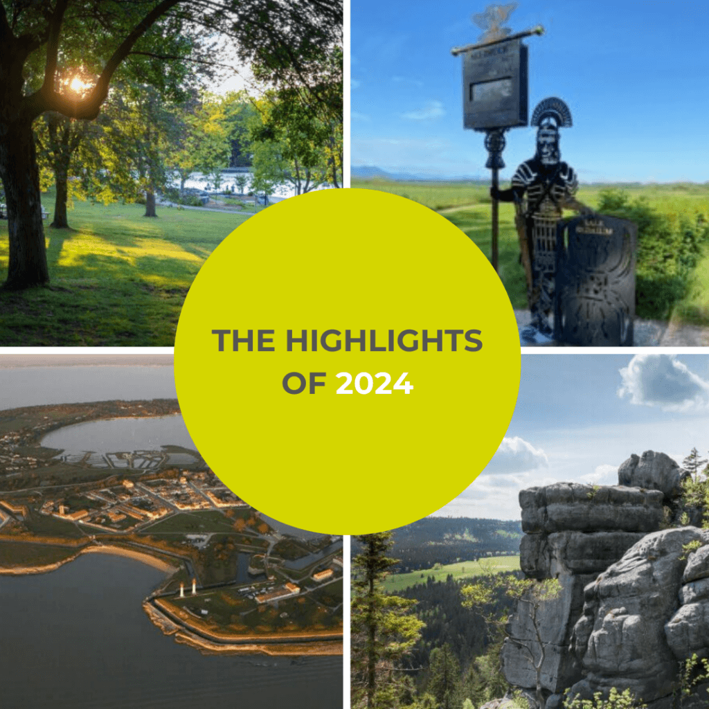Our Key Takeaways from 2024!