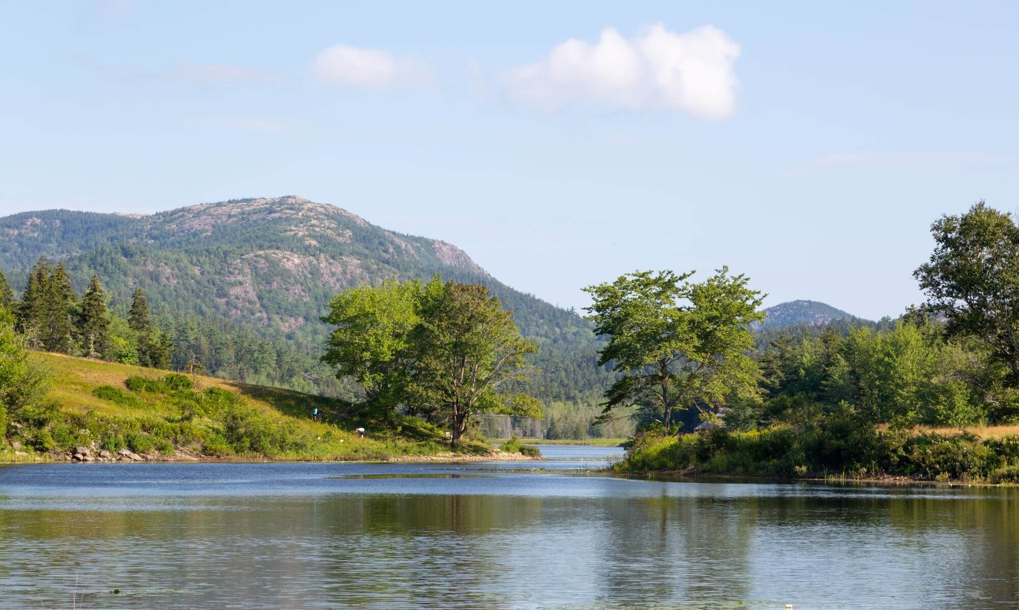 How Acadia National Park Uses Counts to Protect, Preserve, and Adapt 