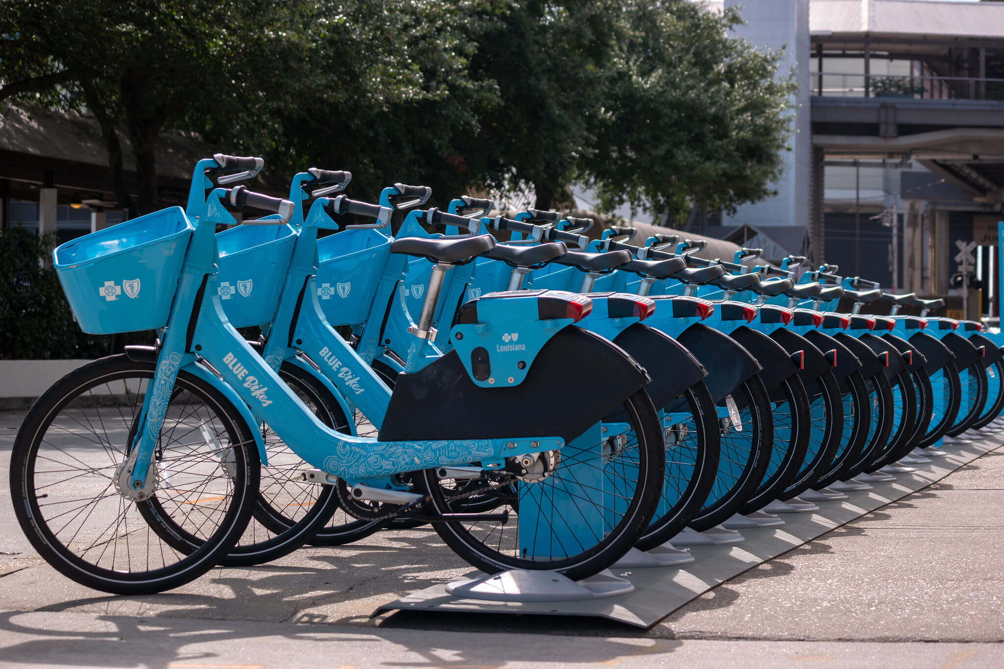 Bikes Count Data Competition 2023 Winner: University of New Orleans!