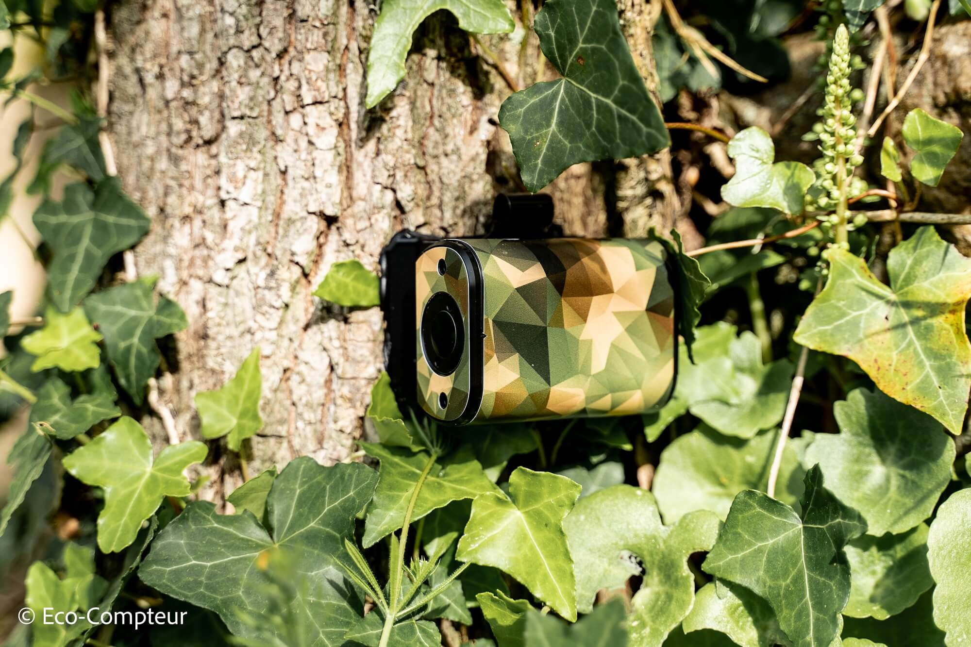 The PYRO Nano: an ultra-discreet counter for natural environments