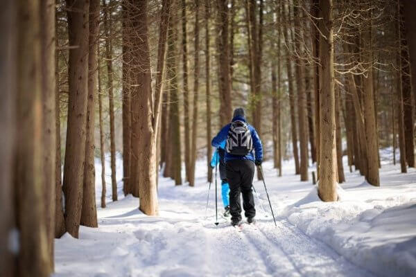 Best Practices for Winter Counting