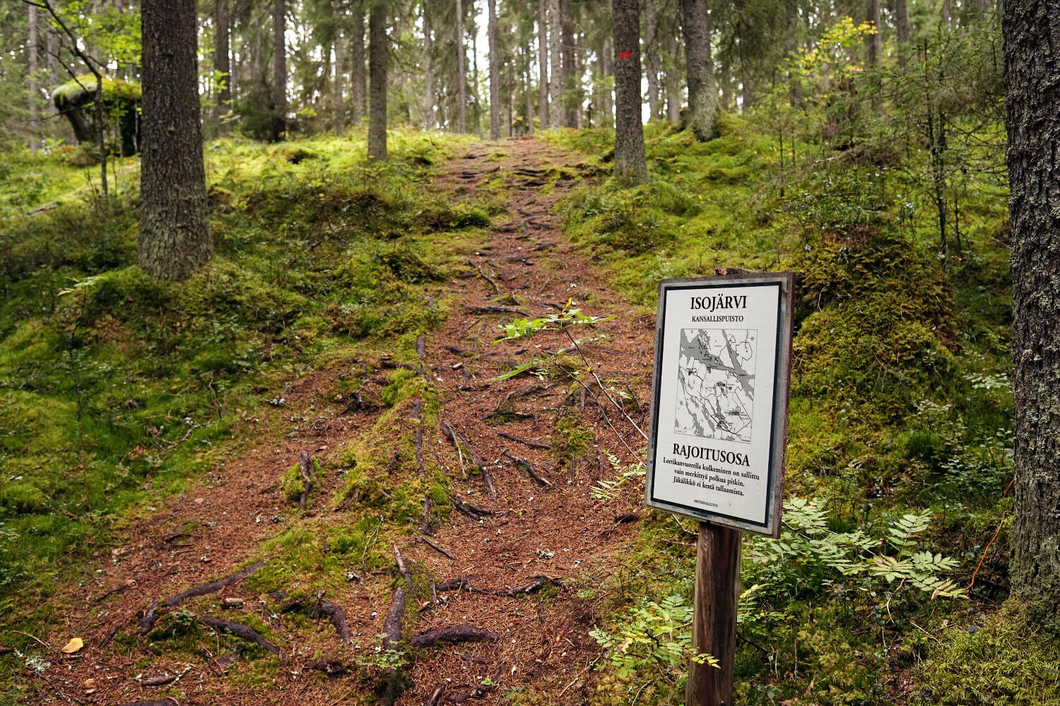 Why count visitors? Twenty years of experiences on visitor monitoring in Finland’s protected areas