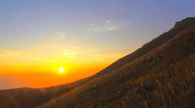 Eco Counter自动人流点算器帮助香港水口湾保育濒危海洋生物