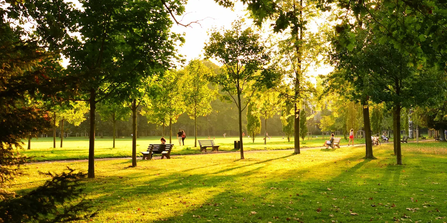 How to Count Park Visitors (and Why it Matters)